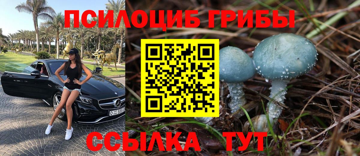 Курган  Галлюциногенные грибы ЛСД  Вход с VPN 