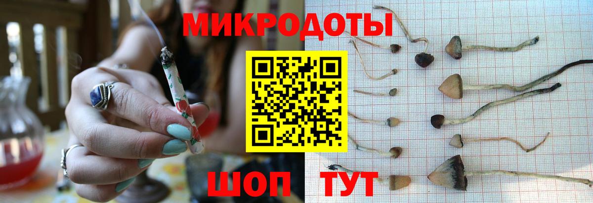 Галлюциногенные грибы MAGIC MUSHROOMS Курган